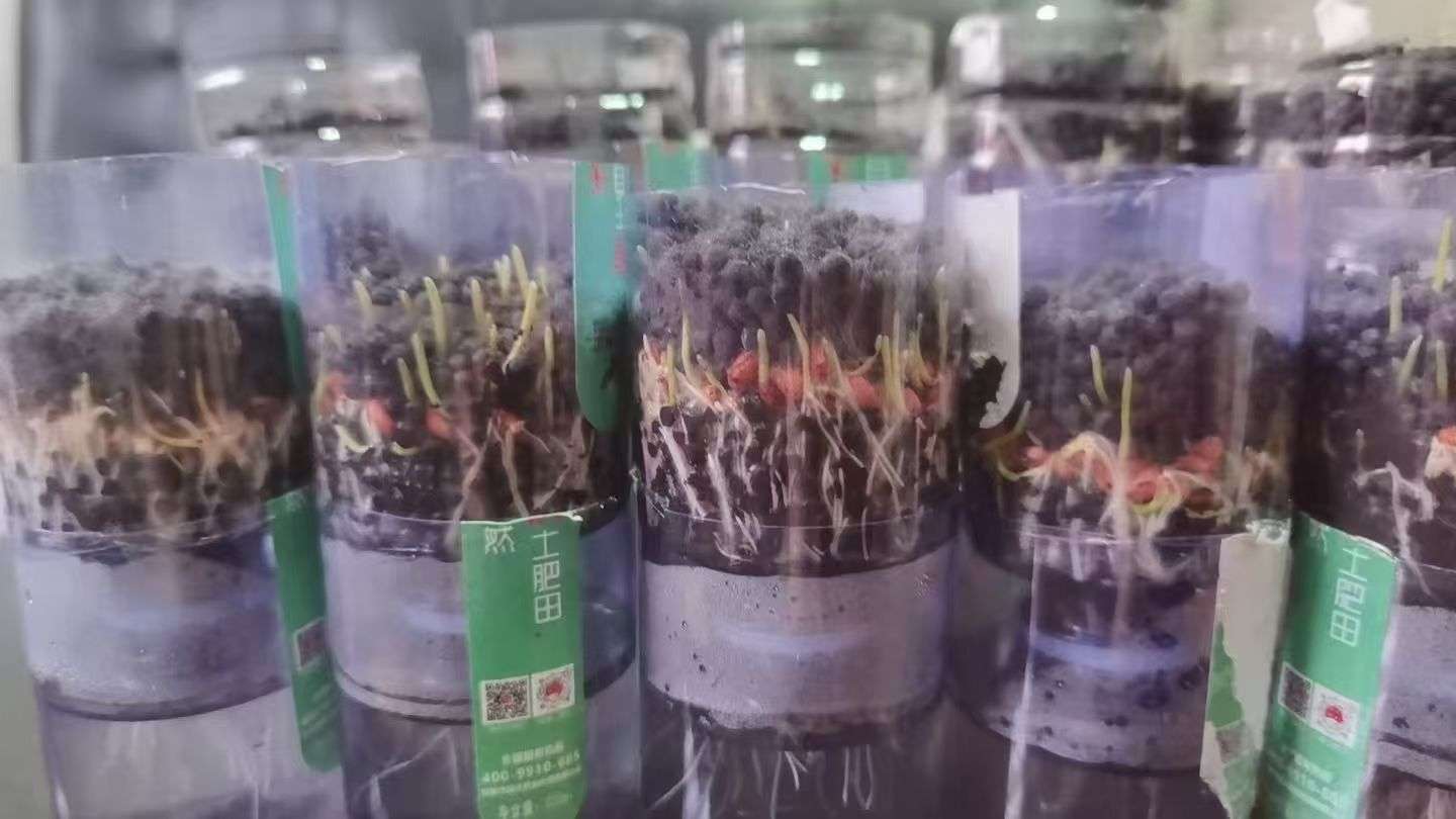 http://st-static1.siwangcq.com/forums/2025/09/25/17587904341670.jpeg