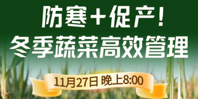 《细说农技》专家张宝林教冬季蔬菜防寒 + 促产高效管理，27 日晚 8 点！