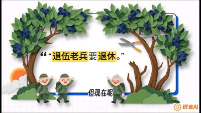 第7节：修剪决定产量（下）&mdash;&mdash;结果树的更新与疏果，课程：《蓝莓&ldquo;高产&rdquo;实战课：从选苗到丰收的10个关键点》