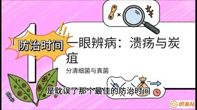 第三节：细菌与真菌&mdash;&mdash;溃疡病与炭疽病，课程：《柑橘十大病虫害：从入门到精通》