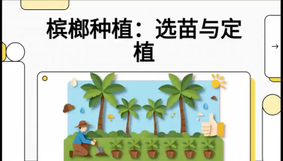 第01节：选苗与定植&mdash;&mdash;&ldquo;苗好一半收，底肥定千秋&rdquo;课程：《槟榔种植：从不懂到精通的10堂必修课》