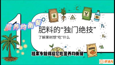 第07节：科学施肥&mdash;&mdash;&ldquo;氮磷钾配好，树壮果不倒