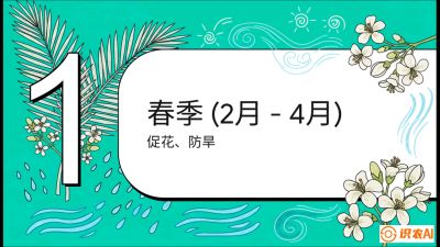 第10节：周年农事日历&mdash;&mdash;&ldquo;跟着节气走，丰产在手头&rdquo;《槟榔种植：从不懂到精通的10堂必修课》