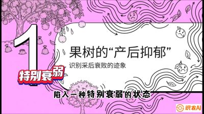 第2节：【冬肥策略】采后&ldquo;月子肥&rdquo;：大小年的精准干预术，课程：《柑橘底肥&ldquo;翻身账&rdquo;：从改土到高产的实战全书》