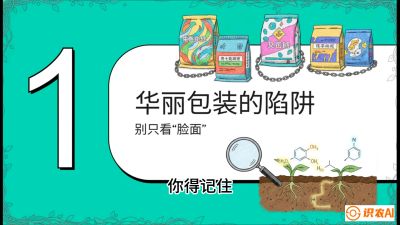第4节：【黄金配方】底肥里的&ldquo;铁三角&rdquo;与&ldquo;微量雷区&rdquo;课程：《柑橘底肥&ldquo;翻身账&rdquo;：从改土到高产的实战全书》