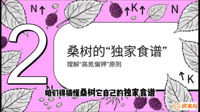 第04节：地下核动力&mdash;&mdash;桑树专用水肥一体化配方，课程：《桑海淘金：桑树高产与蚕桑安全进阶实战课》