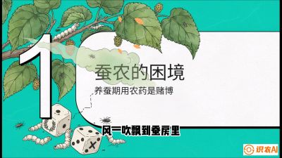 第06节：虫口夺叶（上）&mdash;&mdash;物理与生物防控绝技，课程《桑海淘金：桑树高产与蚕桑安全进阶实战课》