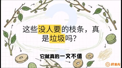 第12节：变废为宝&mdash;&mdash;循环农业实操，课程：《桑海淘金：桑树高产与蚕桑安全进阶实战课》