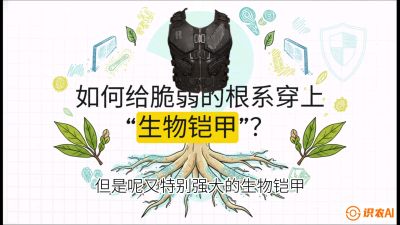 第三节：国产榴莲突围战：根系堡垒，菌根微生态构建与黄金定植窗口，课程：《国产榴莲突围战：从泰国经验到中国实操的8堂必修课（高阶实战版）》