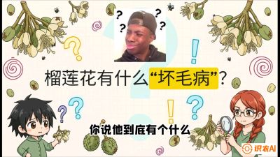 第六节：榴莲的午夜战事，夜间授粉战与花果期避雨策略，课程：《国产榴莲突围战：从泰国经验到中国实操的8堂必修课（高阶实战版）》