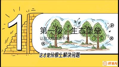 第七节：榴莲防御战：病虫害三级立体防控，疫霉菌与虫害的立体封锁线，课程：《国产榴莲突围战：从泰国经验到中国实操的8堂必修课（高阶实战版）》