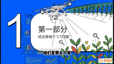 第5节：无人机也能&ldquo;看病抓药&rdquo;&mdash;&mdash;处方图与变量施肥入门，课程：《无人机植保搞钱必修课：从&ldquo;瞎飞&rdquo;到&ldquo;懂行&rdquo;的6步进阶》