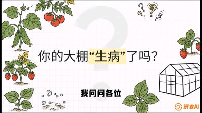 第2节（解毒篇）： 大棚里的&ldquo;红白绿&rdquo;警报&mdash;&mdash;读懂土壤盐渍化的求救信号，课程：《揭秘土壤的秘密：让土地帮你赚钱》#识农AI