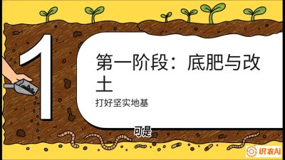 第6节（统筹篇）： 省钱又增产的&ldquo;黄金配比&rdquo;&mdash;&mdash;不同作物全年的养土实操方案，课程：《揭秘土壤的秘密：让土地帮你赚钱》#识农AI