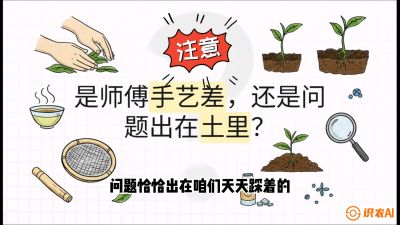 第02节（土肥篇）：告别&ldquo;苦涩水味&rdquo;：揭秘&ldquo;碳氮比&rdquo;调控术，种出自带兰花香的好茶底，课程：《茶金时代：从&ldquo;看天吃饭&rdquo;到&ldquo;精准控局&rdquo;的茶叶高产提质实战课》