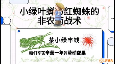 第03节（虫害篇）：看不见的吸血鬼：小绿叶蝉与红蜘蛛的&ldquo;非农药&rdquo;团灭战术（抗性治理），课程：《茶金时代：从&ldquo;看天吃饭&rdquo;到&ldquo;精准控局&rdquo;的茶叶高产提质实战课》