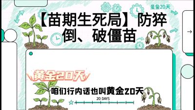第2节：【苗期生死局】防猝倒、破僵苗，决定后期产量的&ldquo;黄金20天&rdquo;，课程：《辣椒种植实战特训营，从工业辣椒到精品小米辣，教你如何把&ldquo;草&rdquo;种成&ldquo;金&rdquo;》