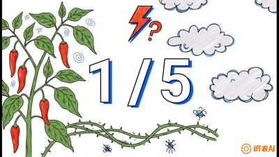 第6节：【花果爆发术】落花落果的五大元凶，与&ldquo;三喷一保&rdquo;坐果黑科技，课程：《辣椒种植实战特训营，从工业辣椒到精品小米辣，教你如何把&ldquo;草&rdquo;种成&ldquo;金&rdquo;》