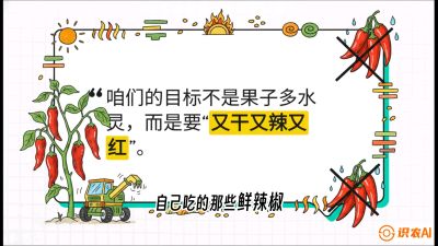 第7节：【工业辣椒专场】追求极致辣度！干物质提升与机械化采收的&ldquo;催红秘籍&rdquo;，课程：《辣椒种植实战特训营，从工业辣椒到精品小米辣，教你如何把&ldquo;草&rdquo;种成&ldquo;金&rdquo;》