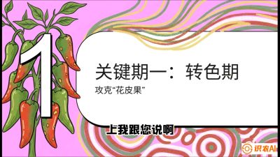 第8节：【小米辣线椒专场】颜值即正义！防花皮、防炭疽，打造收购商抢着要的&ldquo;精品果&rdquo;，课程：《辣椒种植实战特训营，从工业辣椒到精品小米辣，教你如何把&ldquo;草&rdquo;种成&ldquo;金&rdquo;》