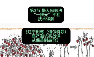 第三节： 懒人修剪法&mdash;&mdash;&ldquo;一推光&rdquo;平茬技术详解，课程：《辽宁树莓（海尔特兹）高产避坑实战课：从保苗到高价》
