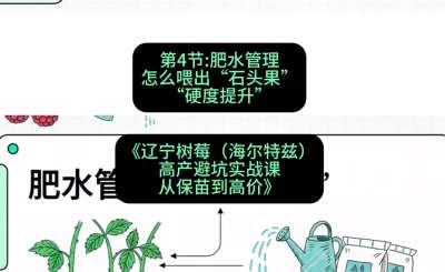 第四节： 肥水管理&mdash;&mdash;怎么喂出&ldquo;石头果&rdquo;（硬度提升），课程：《辽宁树莓（海尔特兹）高产避坑实战课：从保苗到高价》
