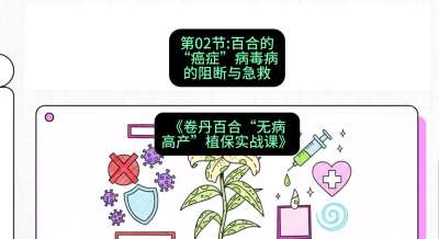 第02节：百合的&ldquo;癌症&rdquo;&mdash;&mdash;病毒病的阻断与急救，课程：《卷丹百合&ldquo;无病高产&rdquo;植保实战课》#识农AI