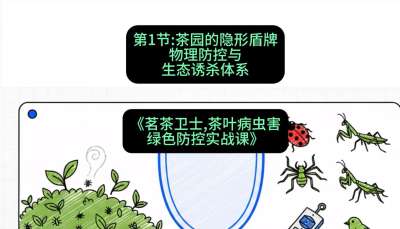 第01节：茶园的&ldquo;隐形盾牌&rdquo;&mdash;&mdash;物理防控与生态诱杀体系，课程：《茗茶卫士&mdash;&mdash;茶叶病虫害绿色防控实战课》#识农AI