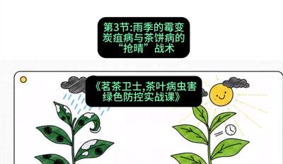 第03节：雨季的霉变&mdash;&mdash;炭疽病与茶饼病的&ldquo;抢晴&rdquo;战术，课程：《茗茶卫士&mdash;&mdash;茶叶病虫害绿色防控实战课》#识农AI