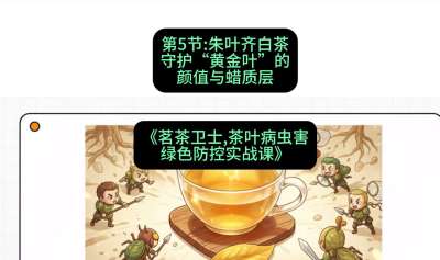 第05节：朱叶齐白茶&mdash;&mdash;守护&ldquo;黄金叶&rdquo;的颜值与蜡质层（重点），课程：《茗茶卫士&mdash;&mdash;茶叶病虫害绿色防控实战课》#识农AI
