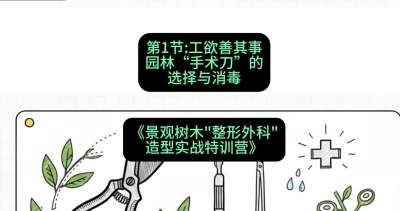 第01节：工欲善其事&mdash;&mdash;园林&ldquo;手术刀&rdquo;的选择与消毒，课程：《景观树木&ldquo;整形外科&rdquo;造型实战特训营》#识农AI