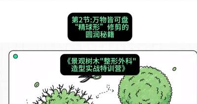 第02节：万物皆可盘&mdash;&mdash;&ldquo;精球形&rdquo;修剪的圆润秘籍，课程：《景观树木&ldquo;整形外科&rdquo;造型实战特训营》#识农AI