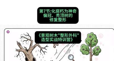 第07节：化腐朽为神奇&mdash;&mdash;偏冠、秃顶树的修复整形，课程：《景观树木&ldquo;整形外科&rdquo;造型实战特训营》#识农AI
