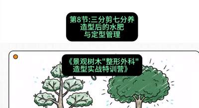 第08节：三分剪七分养&mdash;&mdash;造型后的水肥与定型管理，课程：《景观树木&ldquo;整形外科&rdquo;造型实战特训营》#识农AI