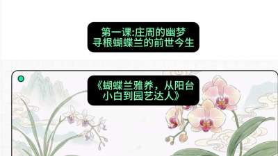第一节：庄周的幽梦：寻根蝴蝶兰的前世今生，课程：《蝴蝶兰雅养六讲：从阳台小白到园艺达人》#识农AI