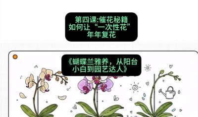 第四节：催花秘籍：如何让&ldquo;一次性花&rdquo;年年复花，课程：《蝴蝶兰雅养六讲：从阳台小白到园艺达人》#识农AI