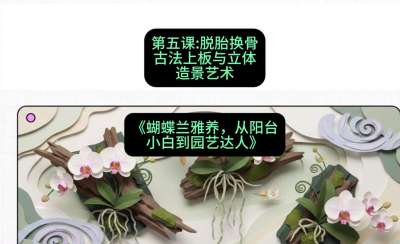 第五节：脱胎换骨：古法上板与立体造景艺术，课程：《蝴蝶兰雅养六讲：从阳台小白到园艺达人》#识农AI