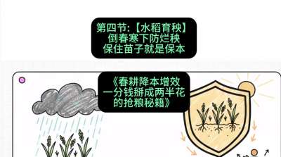 第四节：【水稻育秧】倒春寒下防烂秧，保住苗子就是保本