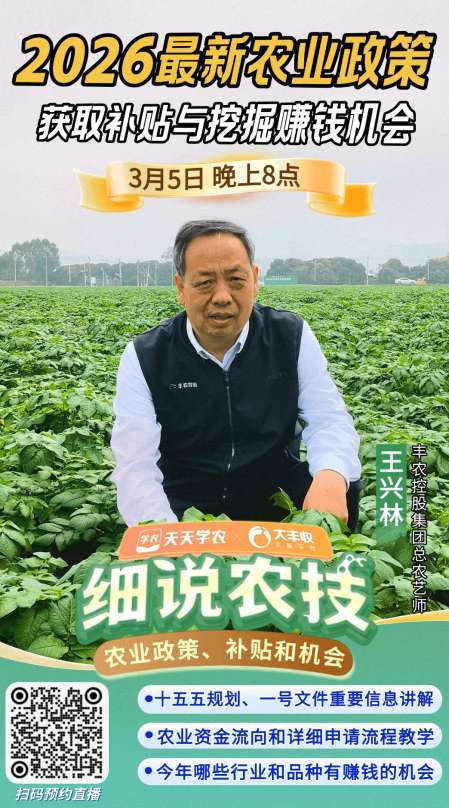 http://st-static1.siwangcq.com/forums/2026/03/04/17725891521769.png