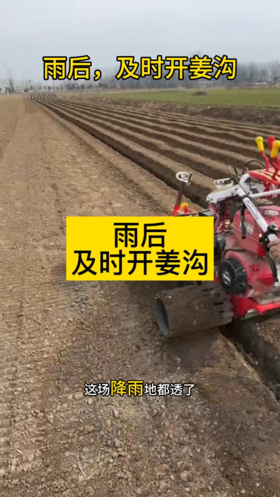 雨后，及时开姜沟！
