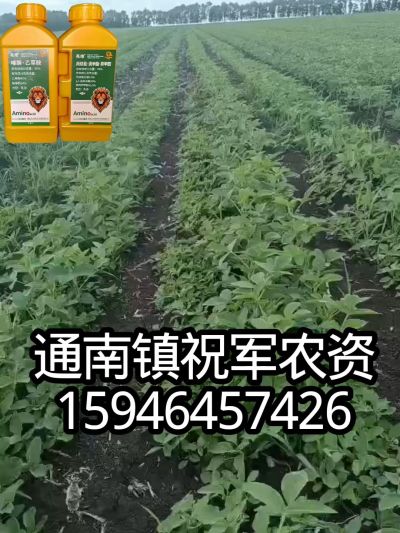 大豆苗前封闭，可封红根苋菜，灰菜，兰花菜，野豆子，捞豆秧等恶性杂草，封杀兼备的高端产品。