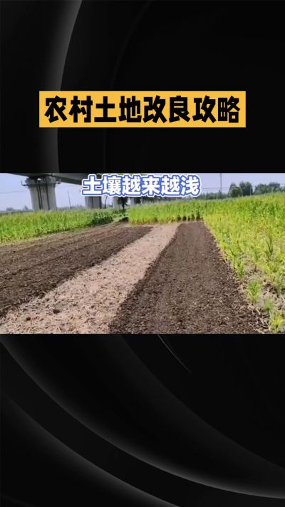 1. 先搞懂：你到底要改良哪块地、种什么
 
- 土土土在哪里？
就是你自家农田、菜地、果园，哪块地想种庄稼，就测哪块地的土。
​
- 有水没有水？
有水能浇：改良更省事，施肥、调酸碱都好操作。
没水