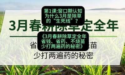 第1节：窗口期认知，为什么3月是除草的&ldquo;生死线&rdquo;？，课程：《3月春耕除草定全年：省钱、省药、不烧苗、少打两遍药的秘密》