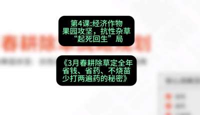 第4节：经济作物果园攻坚，抗性杂草&ldquo;起死回生&rdquo;局，课程：《3月春耕除草定全年：省钱、省药、不烧苗、少打两遍药的秘密》